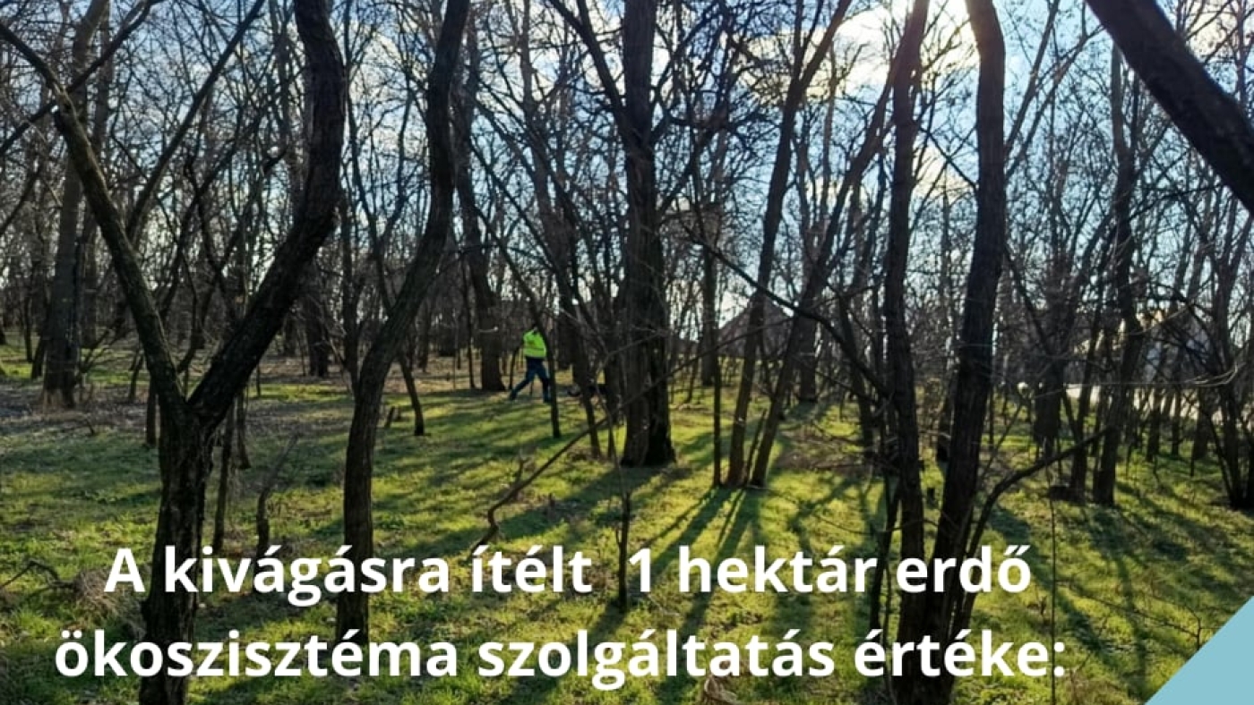 fakataszter2