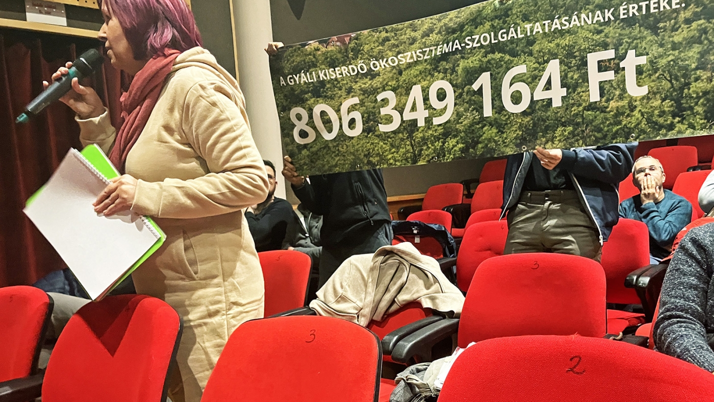 A molinó